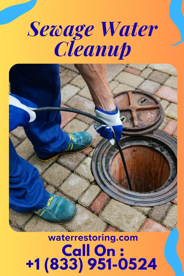 Sewage Water Cleanup in Watson, MO